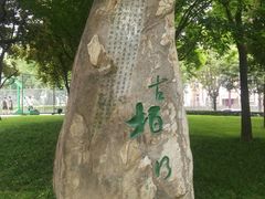 -唐城墙遗址公园