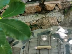 -北京水岸山吧度假村(雁栖镇店)