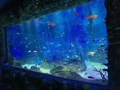 -沈阳海洋探索中心