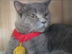 -共舞时光猫咖·狗咖(新街口店)