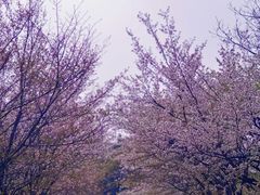 -沈阳植物园