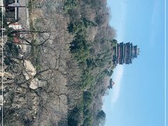 -七欣天香辣蟹火锅(南京建宁路大观天地店)