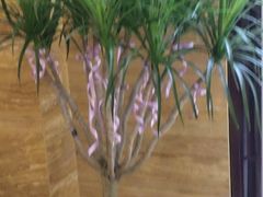 -益健·足疗汗蒸SPA(芙蓉广场店)