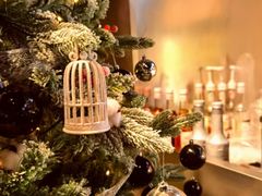 -J Create城市露营咖啡·简餐·宠物(上海动物园店)