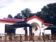 -青龙湖公园