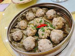 荷香肉丸-姚林轩