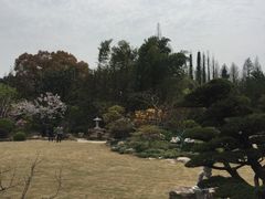 -上海植物园-4号门售票处
