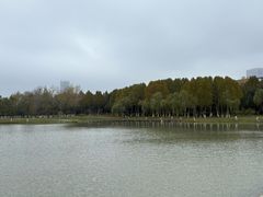 -滨湖塘西河公园