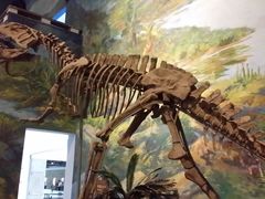 -自贡恐龙博物馆