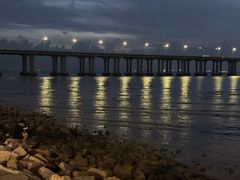 -宝安西湾红树林湿地公园