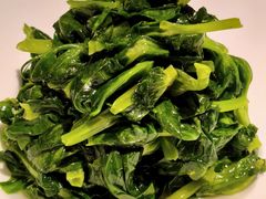 清炒大叶豆苗-鹿园 MOOSE(长宁店)
