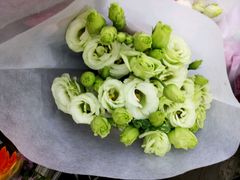 -沪花拾者(好再来花卉鲜花店)