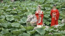 -保定巴黎婚纱摄影