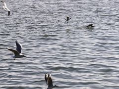 -蠡湖大桥公园