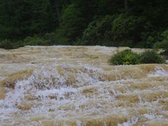 -黄龙山原始森林景区