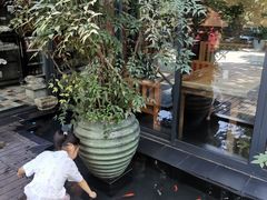 -旅马餐厅(茅家埠店)