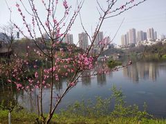 -重庆彩云湖湿地公园
