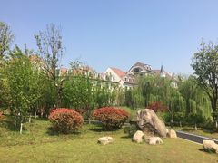 -九龙湖公园