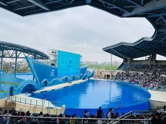 -上海海昌海洋公园