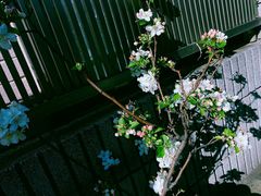 -成都濑川外国语学校