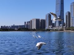 -深圳人才公园