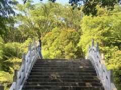 -深圳仙湖植物园
