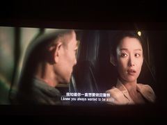 -寰映影城(摩天活力城IMAX店)