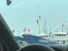 -小洋口旅游度假区