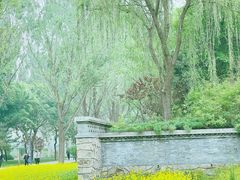 -北坞公园
