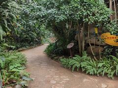 -南山植物园