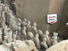 -秦始皇帝陵博物院(兵马俑)
