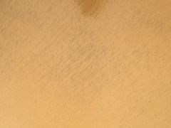 -普陀山风景名胜区-千步大沙