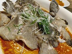 -顺轩海鲜火锅酒家
