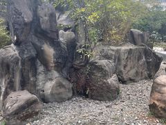 -沙河三洞古桥公园