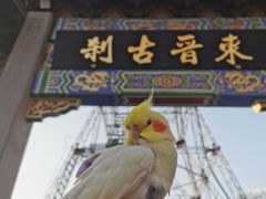 -灵顺寺