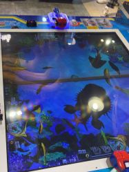 -卡通尼·Safari非洲探索乐园·生日会(金桥国际商业广场店)