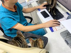 -中农国际动物医院24小时·猫科·骨科·急重症中心