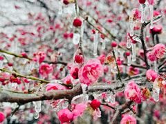 -洋湖国家湿地公园