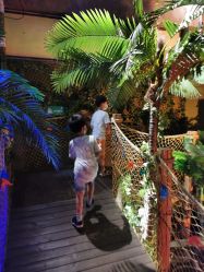 -恐龙探索乐园(磁器口店)