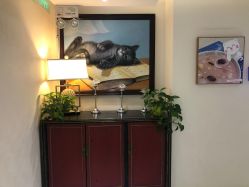 -咪咪比基尼脱毛专业店