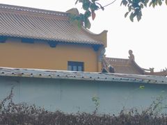 -净心庵