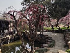 -无锡梅园公园