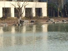 -上海怡沁园度假酒店