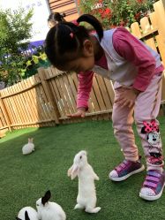 -萌宠亲子动物乐园(槐房万达店)