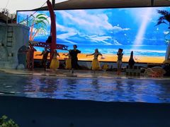 -三亚海昌梦幻海洋不夜城