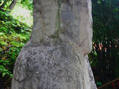 -锁江楼