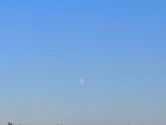 -西安浐灞国家湿地公园