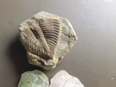 -房山世界地质公园博物馆