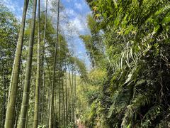 -漫山居私汤民宿全竹宴