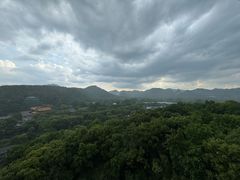 -雷峰塔景区